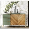 Заказать Витрина Siena REG1W1D1S дымчатый зеленый/дуб вотан BRW по цене 25 090 руб. в Новосибирске