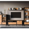 Заказать Тумба Лофт REG1D1S/90 BRW по цене 13 630 руб. в Новосибирске